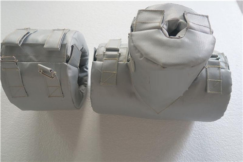 可拆卸保温套在生物制药行业的应用